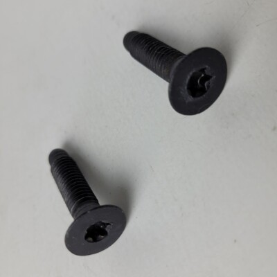 1998-2004 Chevy Blazer Door Striker Screws Torx Pair Set of 2 OEM