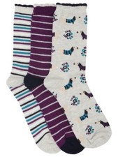 Dachshund Dog and Stripe Women  s Ankle Socks Three Pack