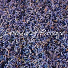 Lavender of Provence tin of organic premium culinary cooking edible flower buds 