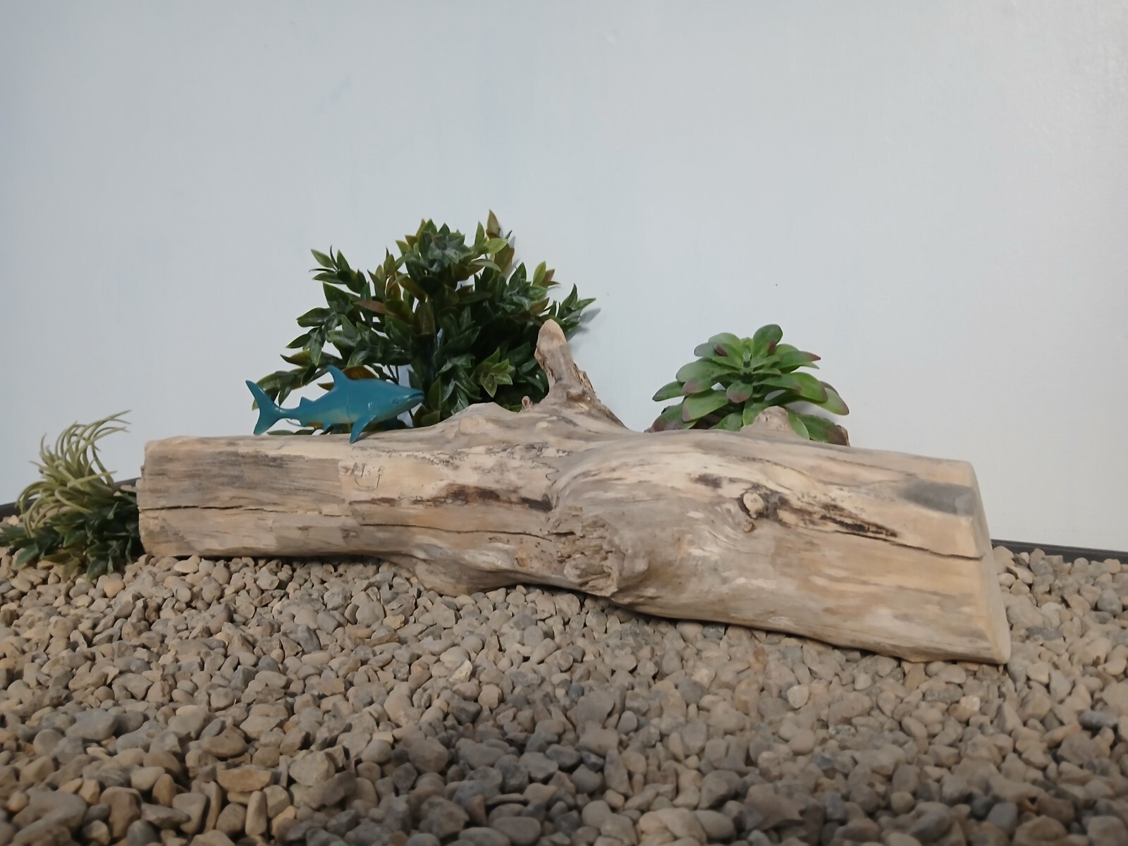 Picture 4 of 7
