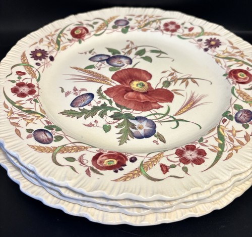 Juego de 4 platos de cena de colección Wedgwood rojo aciano 10,25”, #8023 - Imagen 1 de 6