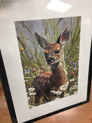 Carl Brenders " Spring Fawn " Deer MINT 36/1500 $800 Value Rare 1989 w/cert - Picture 5 of 8