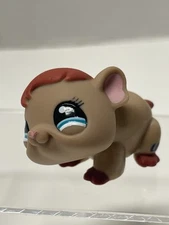 Littlest Pet Shop 1193 Brown Guinea Pig Blue Eyes Tubes Rodent LPS