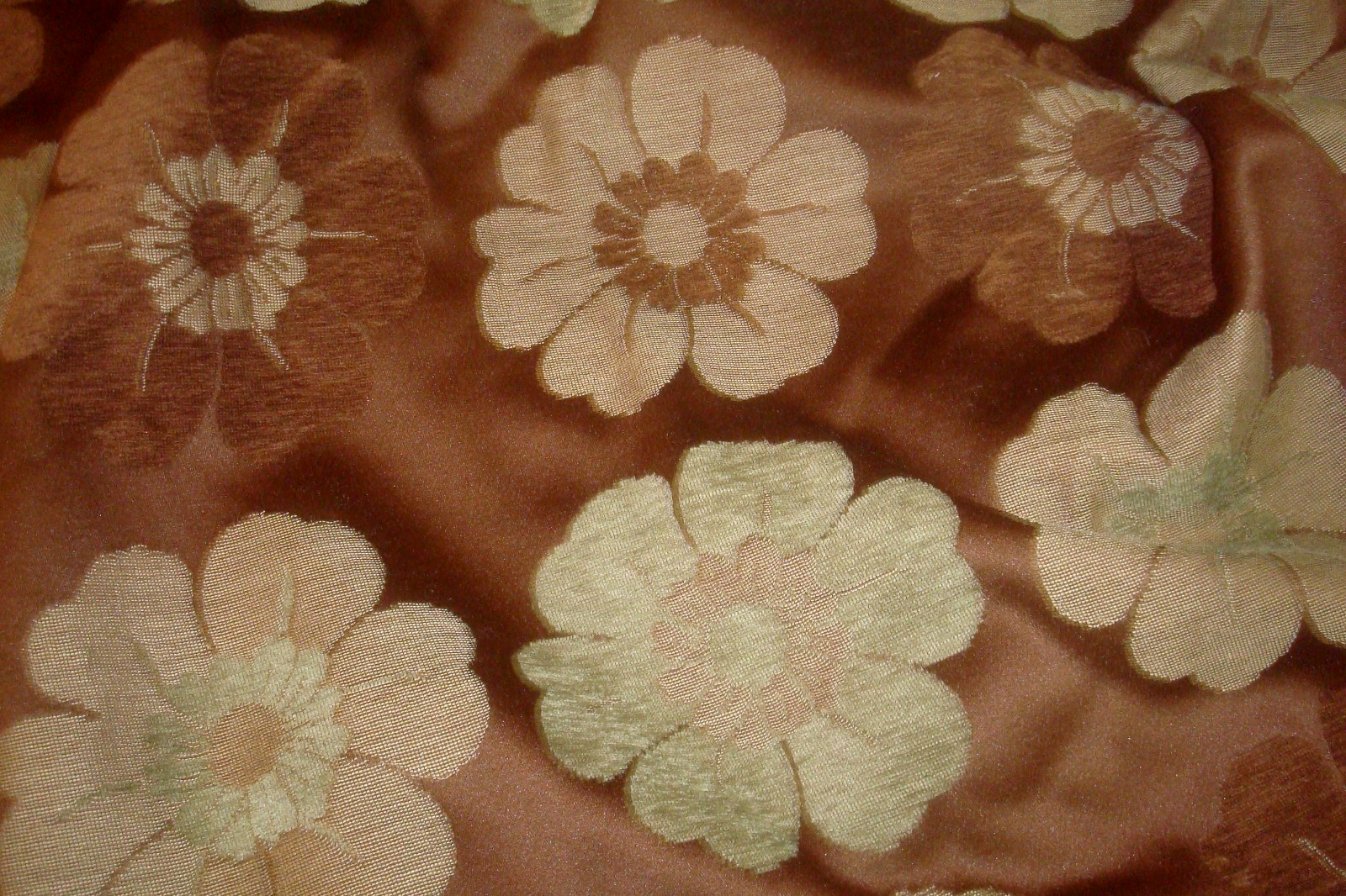 Picture 1 of 6
