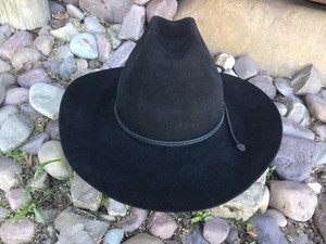 Stetson Beaver Hat 4X | eBay