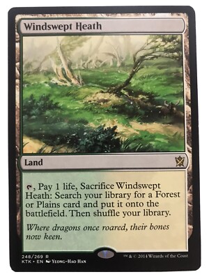 Magic MTG Khans Of Tarkir Windswept Heath