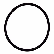 O-Ring Depot fits Pentair R172009 Cap O-Ring Pool and Spa Filter and Feeder