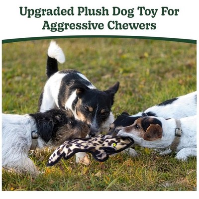 Durable Chew Toys for Aggressive Dogs