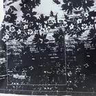 Foto 5 di 6