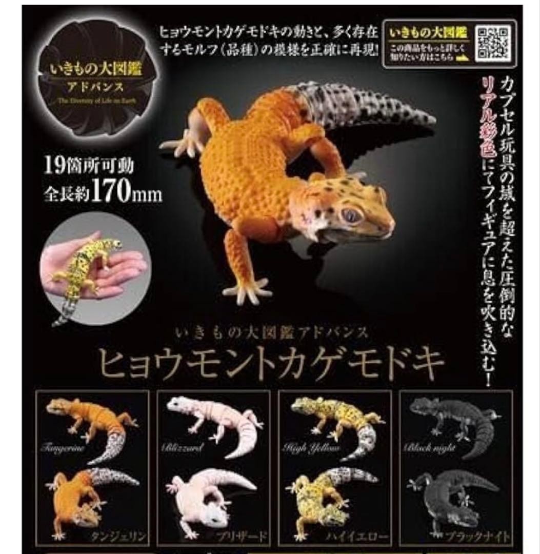 Living Creature Encyclopedia Advanced Leopard Mont Kagemodoki Complete Set of 4