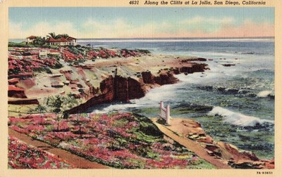 Postcard California San Diego Along Cliffs at La Jolla c1945 linen coast ocean