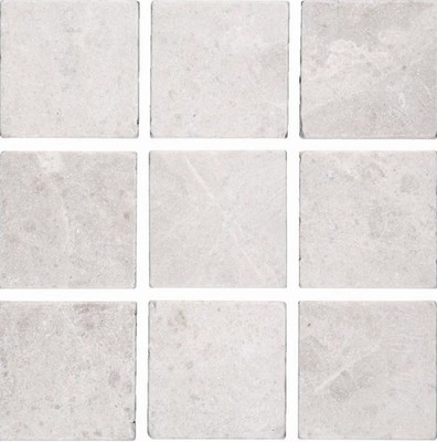 Fliese Marmor Naturstein elfenbein Fliese Botticino Antique Marble WBF-45-46154