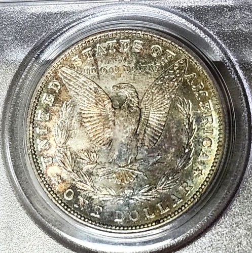 1882-S Morgan Dollar - Mild & Wild Tones - MS65 - PCGS/CAC - Old Green Label