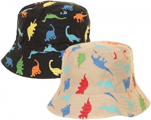 Boys Kids Baby Toddler Dinosaur Bucket 