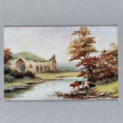 England UK Vintage Postcard, Bolton Abbey Wharfedale, Yorkshire B.B. London. C94