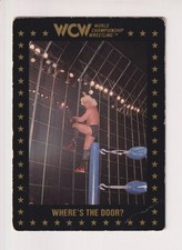 RIC FLAIR #77 WCW HAND SIGNED CARD RELEASED 1991 NATURE BOY WORLD CHAMPION