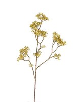 Artplants Deko Zweig Hartriegel Karolina, GrüN, 70Cm