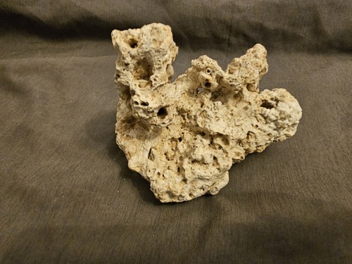 Aquarium Base Rock / Dry Live Rock – 5" Porous Reef Tank Decor - 1 Lb