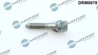 Dr.Motor Automotive Schraube, EinspritzdüSenhalter DRM0678 FüR Ford