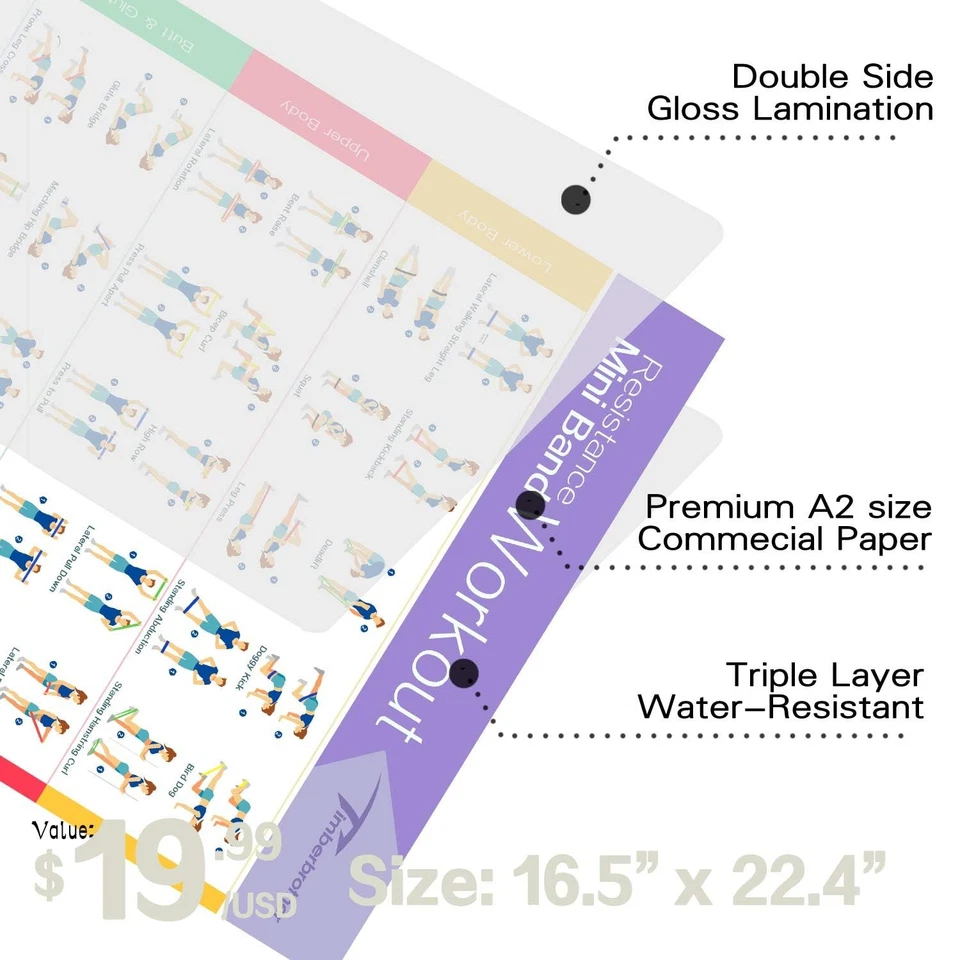 Bandas de bucle de resistencia con póster de entrenamiento 16,5”x 22,4”, juego de 5 bandas de ejercicio... Foto 4 de 4