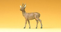 Preiser 47704 1:25 ( Spur G Geeignet ) - Rehbock Neu Und Ovp
