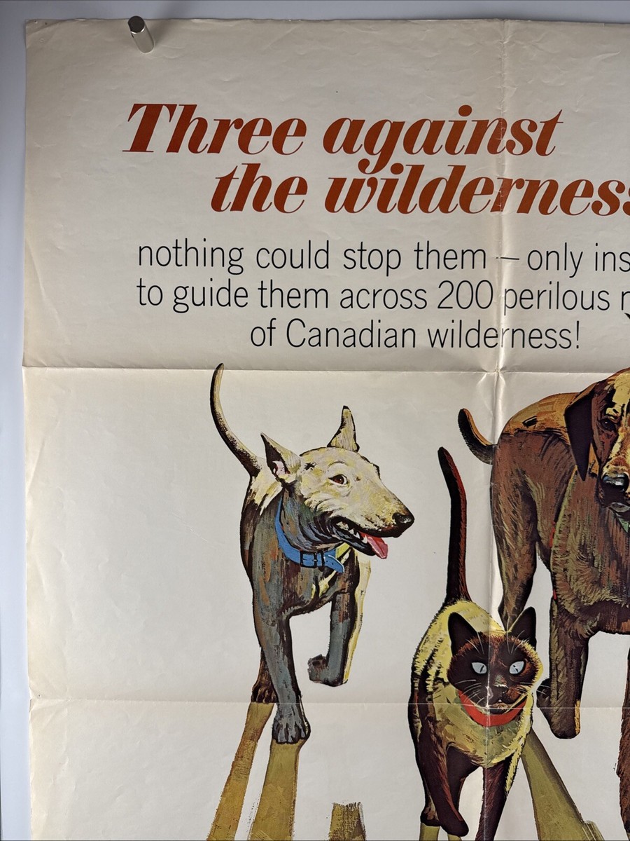 INCREDIBLE JOURNEY Movie Poster (VeryGood) One Sheet 1969 Walt