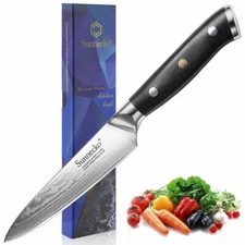 5 Inch Utility Steak Knife VG10 Damascus Steel Table Kitchen Knife Cutting Tools