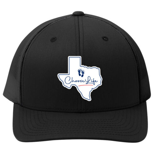 Texas Embroidered Hat Pro-Life Hat - 第 1/1 張圖片