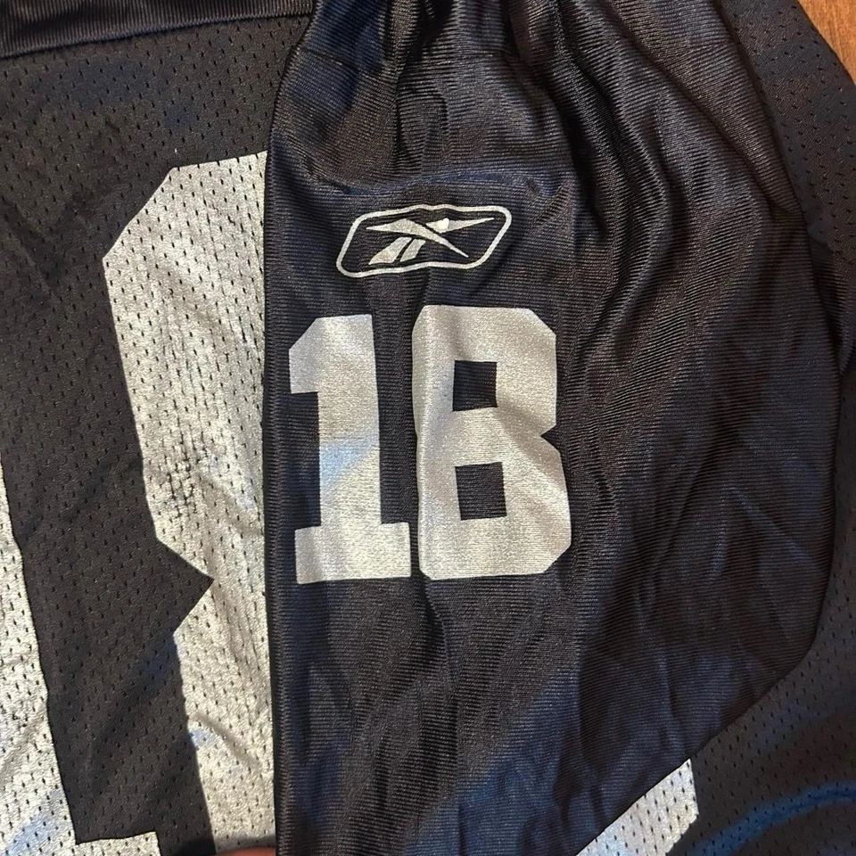 锐步男式 Randy Moss Oakland Raiders 球衣 #18 白色/黑色,尺寸 L — 第 4/4 张图片