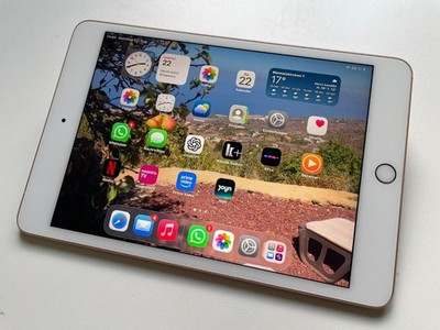 iPad Mini 5. Gen. Rose Glod, Cellular