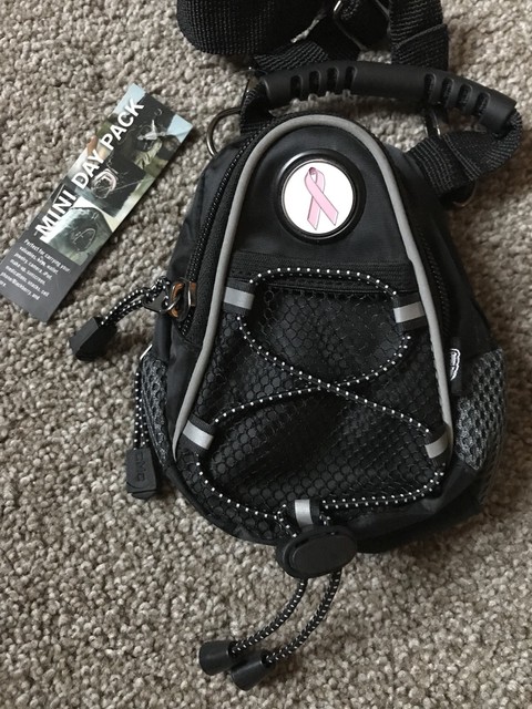 mini day pack backpacks