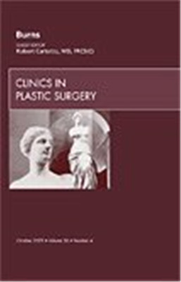 Burns, an Issue of Clinics in Plastic Surgery: Volume 3 -  NEW Robert Cartotto 2