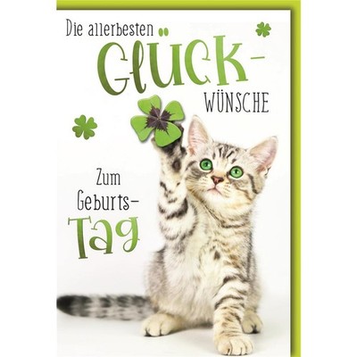 Geburtstag - Glückwunschkarte im Format 11,5 x 17 cm mit Umschlag - Katze spielt