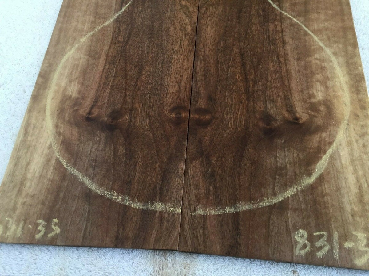 洋書 The art of wood and tone English Walnut book match set guitar tone wood .27 x 12-14 x