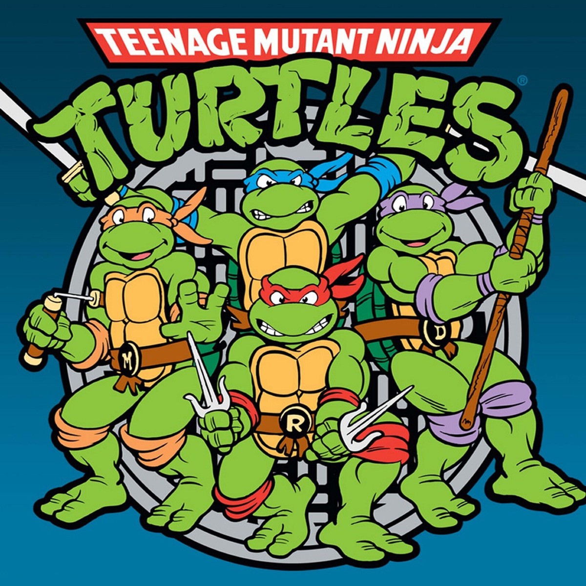 Teenage Mutant Ninja Turtles Poster Wall Art Home Decor Photo 