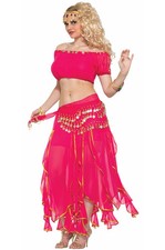 Brand New Arabian Sunrise Dancer Adult Costume