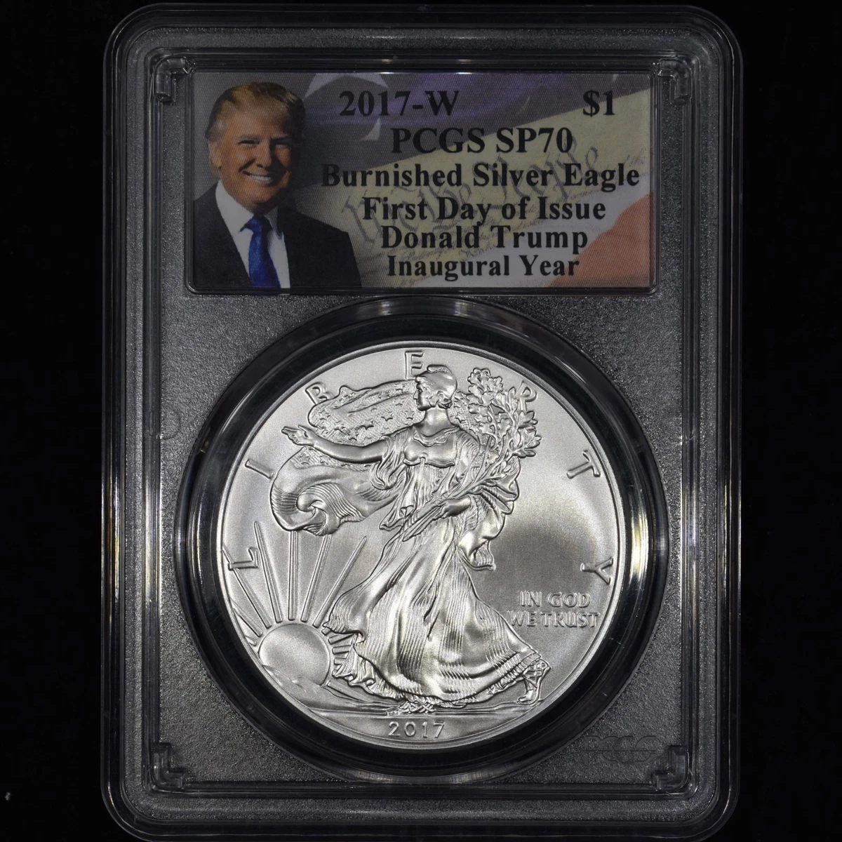American Eagle MS 70 Graded 2017 Silver Bullion Coins for sale | eBay