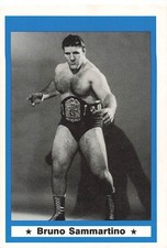 BRUNO SAMMARTINO 1991 IMAGINE WRESTLING LEGENDS #1