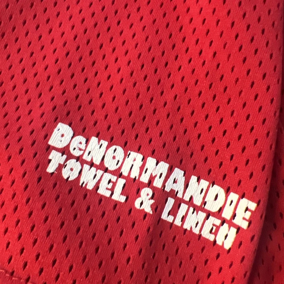 Alleson 运动棒球球衣 XL 费城人队红网 Rec 联盟垒球 复古 — 第 2/4 张图片