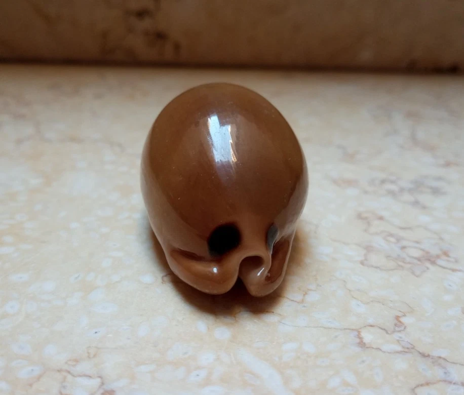 F Luria pulchra sinaiensis  F++++ F+++ 63.5mm super natural glossy red sea shell - Image 3 of 4