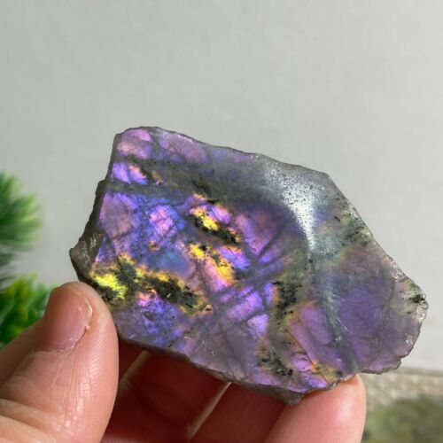 41g Top Labradorite Crystal Stone Natural Rough Mineral Specimen Healing - Zdjęcie 1 z 10
