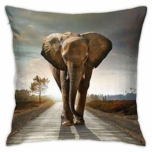 elephant couch pillows
