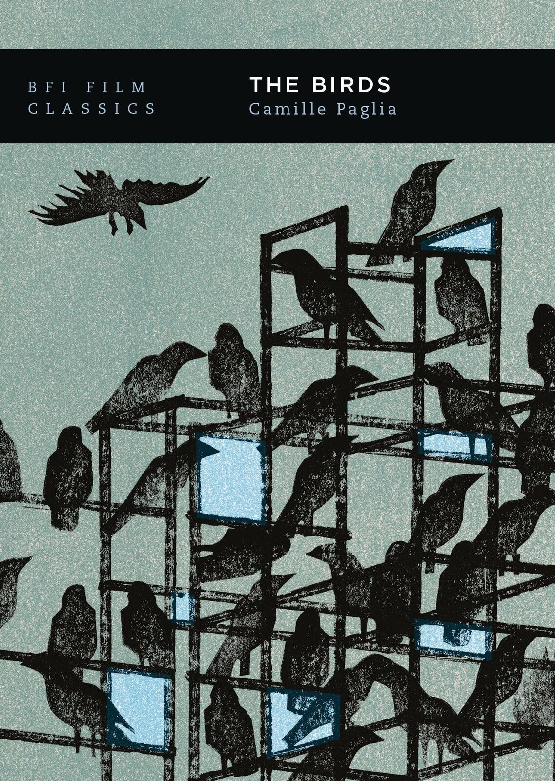 Thumbnail - Camille Paglia | The Birds | Taschenbuch | Englisch (2020) | Ean