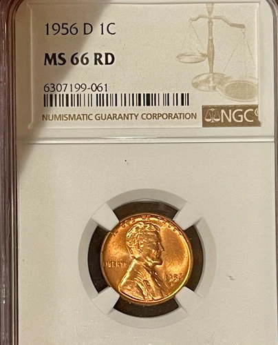 1956 D Lincoln Wheat Cent MS66RD NGC GRADED (061)