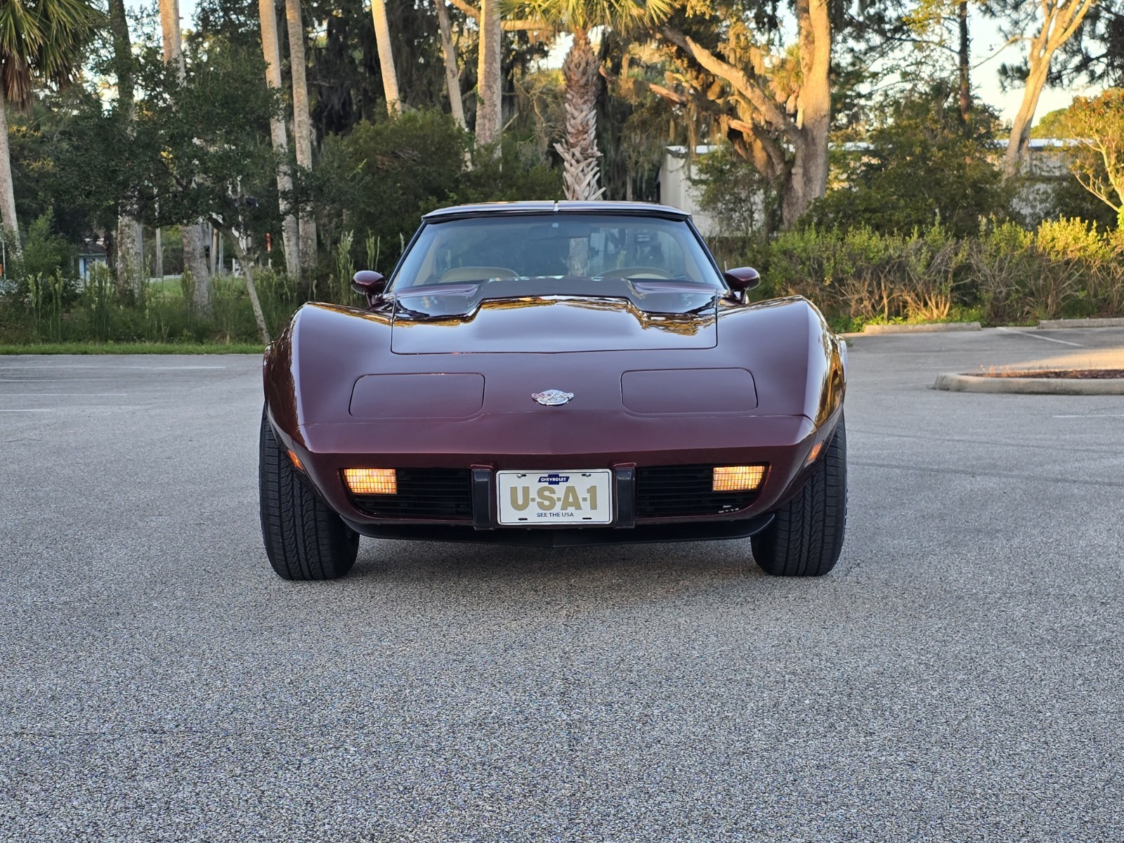 1978 Burgundy Chevrolet Corvette   | C3 Corvette Photo 3