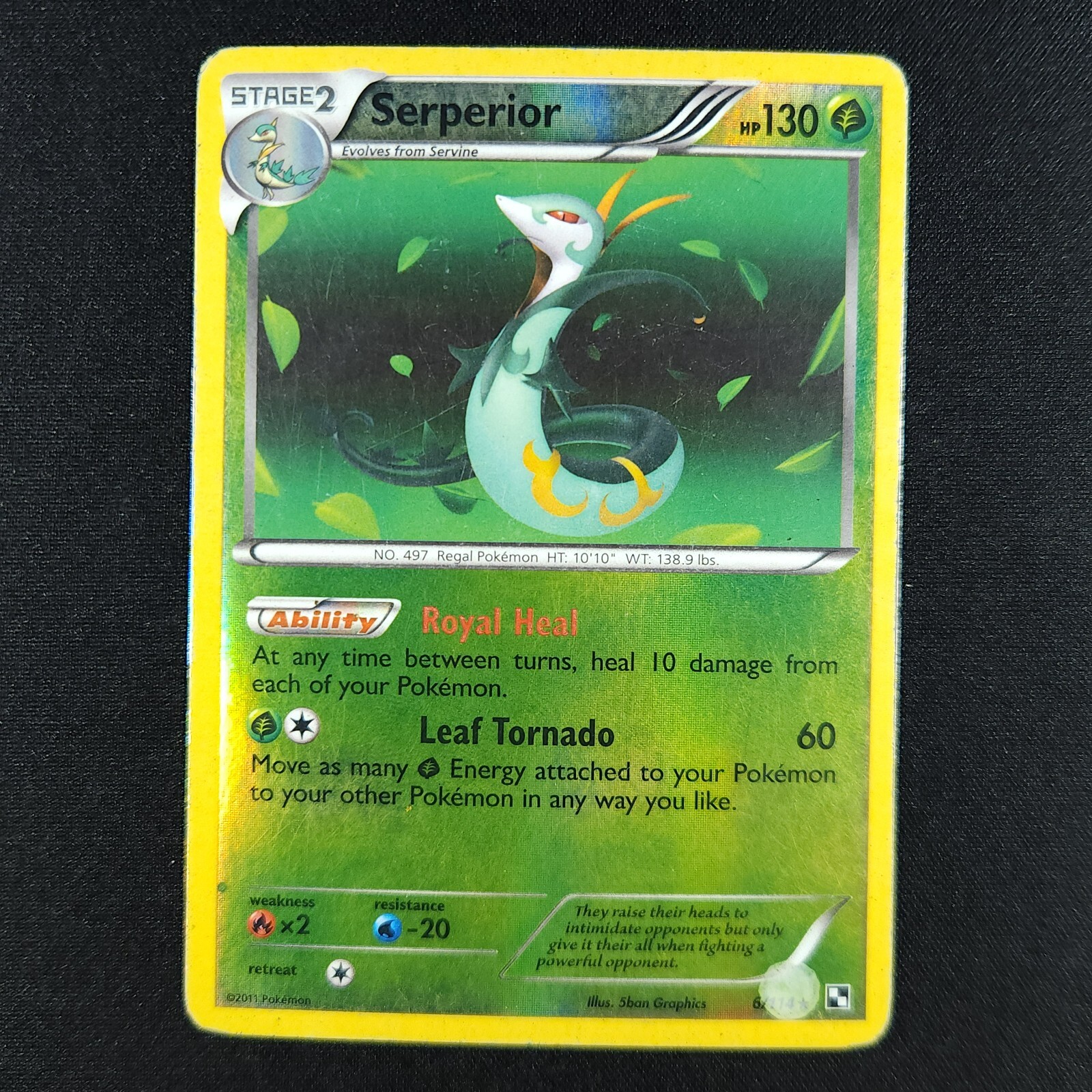 Serperior 6/114 Holo - Black & White - Pokemon Card