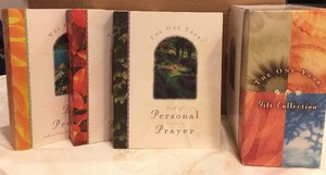 Details About The One Year Gift Collection Box Set Personal Prayer Bible Promises Readings - 