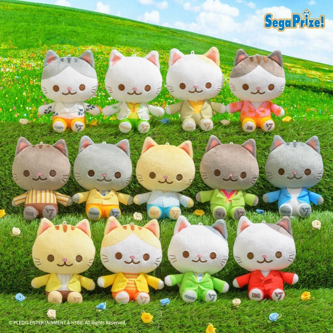 SEVENTEEN ANIMAL COORDY Mini Plush Doll SECTOR H13cm Set of