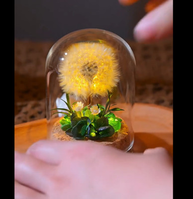 2.4x3.15 inches Mini Natural Dandelion Preserved Eternal Flower Decor Cherished