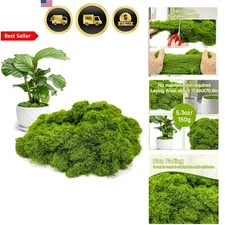 Artificial Moss for Crafts Indoor Outdoor Fairy Garden Diy Decor 5.3oz